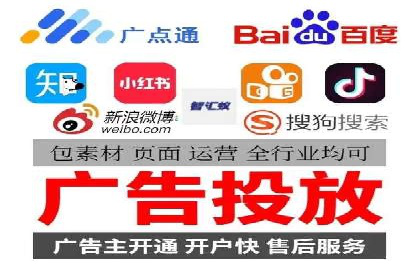 成功运用SEM服务实现品牌快速成长的案例